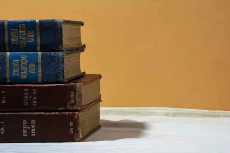 What Is Lost, and Found, in Literary Translation